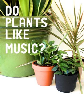 do plants like music