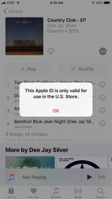 My Apple Music Won’t Play: A Multi-perspective Analysis